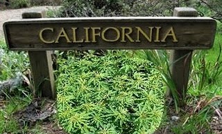 Prop 19 fails in California